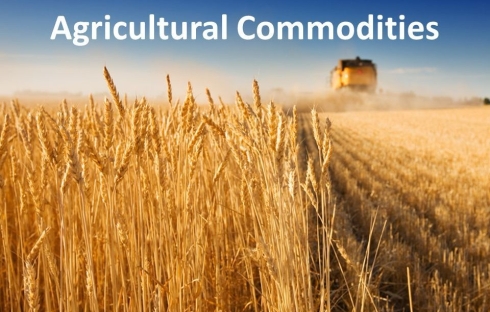 Agriculture Commodities