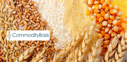 agriculture commodity basis