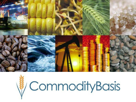Commodity physical trading